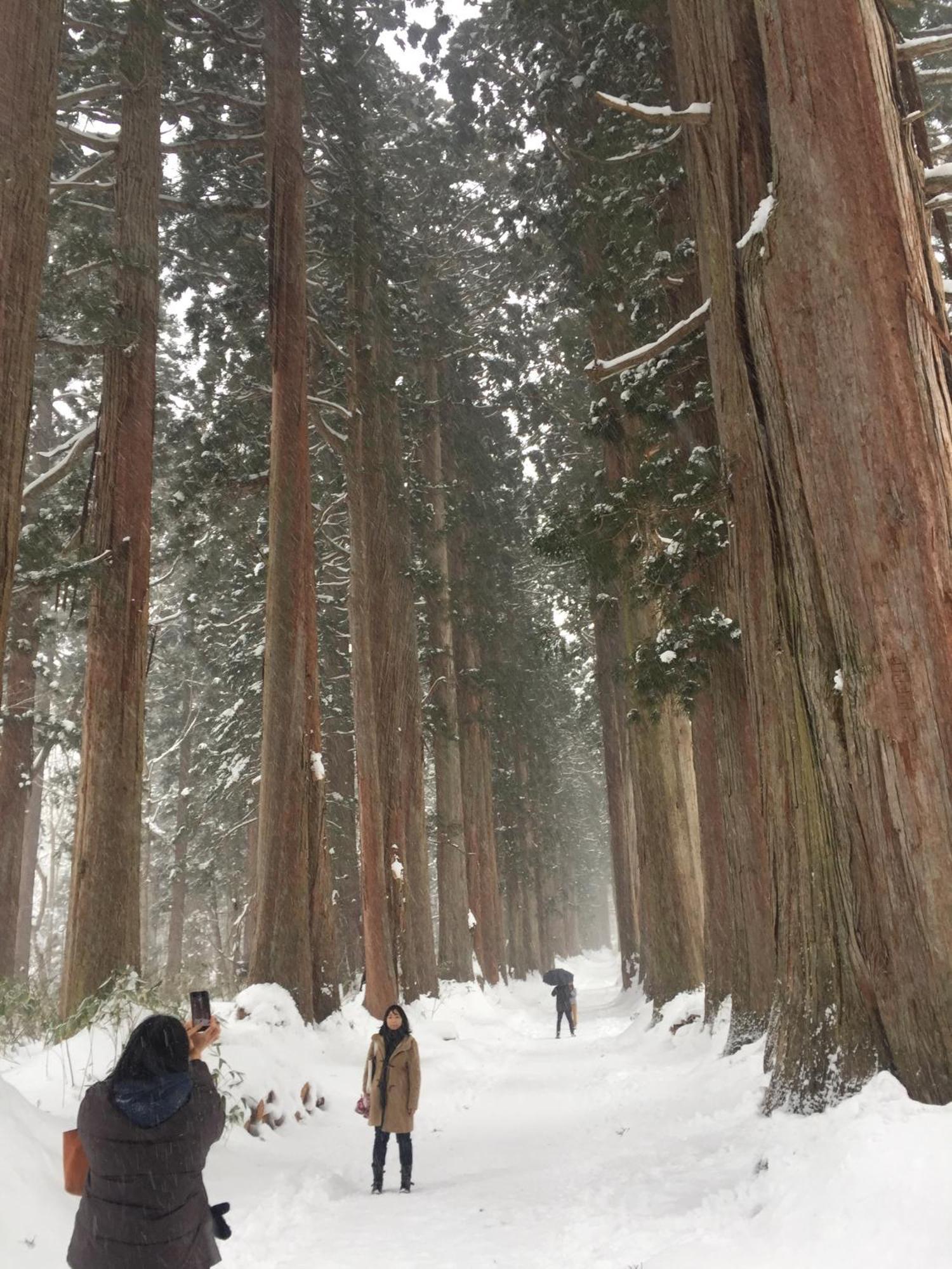 Nojiri Lake Resort Shinano  Экстерьер фото